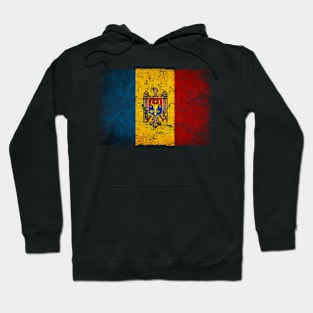 Moldova Flag Women Men Children Moldova Vintage Hoodie